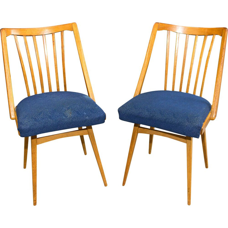 Pair of vintage dining chairs by Antonín Šuman, Czechoslovakia 1960s
