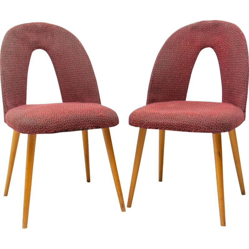 Pair of mid century dinning chairs by Antonín Šuman for Tatra nábytok, Czechoslovakia 1960s