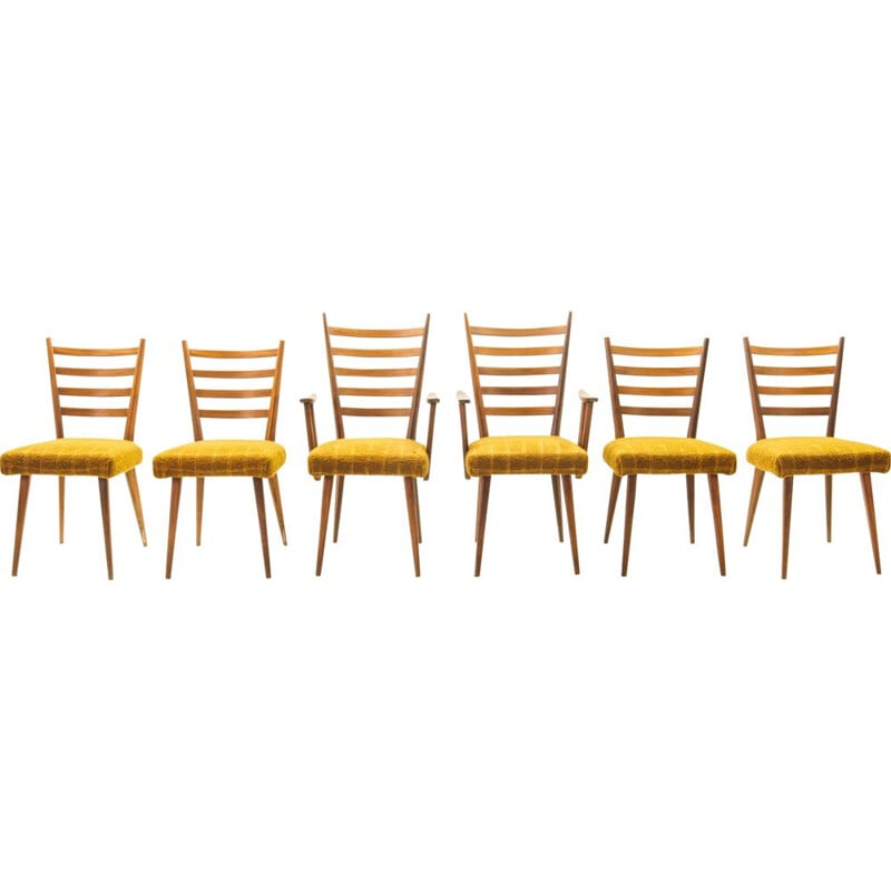Set of 6 vintage ladder chairs by Cees Braakman for Pastoe, 1950s