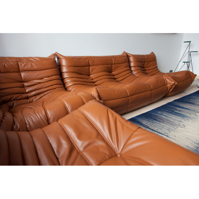 Vintage living room set Brown Leather Togo by Michel Ducaroy for Ligne Roset, 1970s
