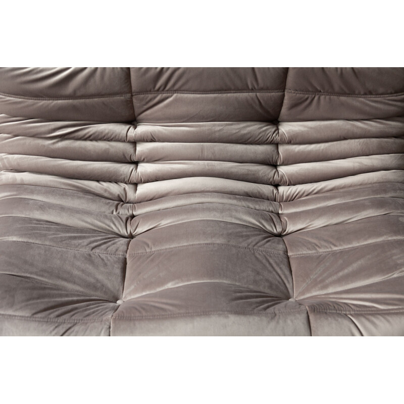 Togo 2-seater sofa in grey velvet by Michel Ducaroy
